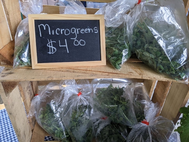 bagged microgreens