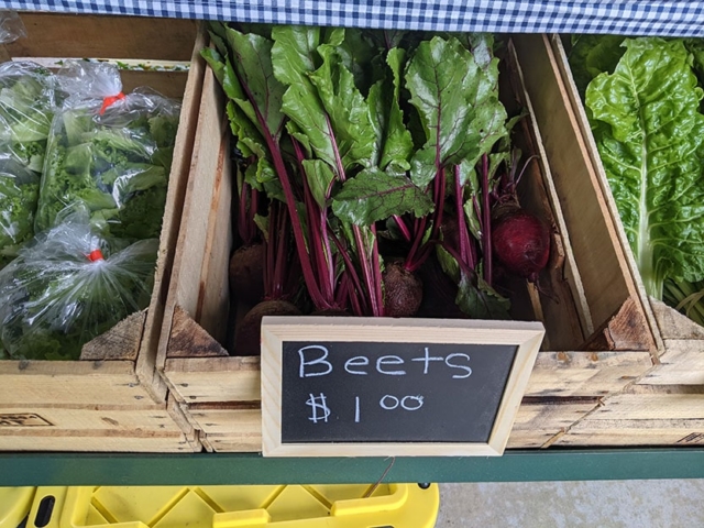 beets