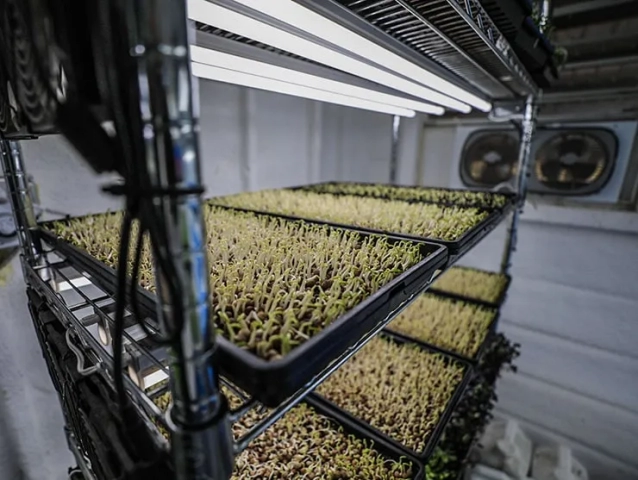 greenery micro farm