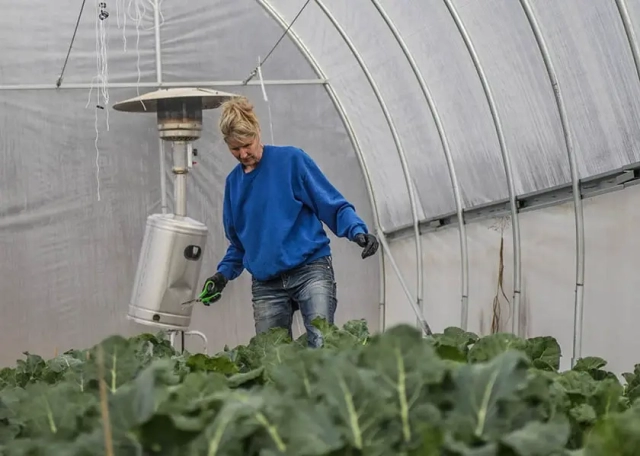 kathy trimming plants