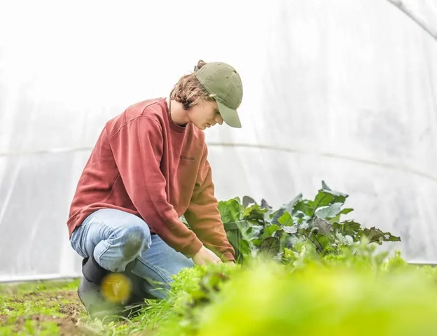 man working with plant in ground