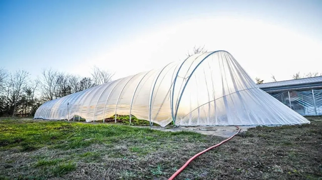 micro farm greenhouse exterior with sun shining