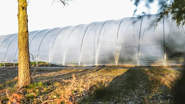 micro farm greenhouse view through trees