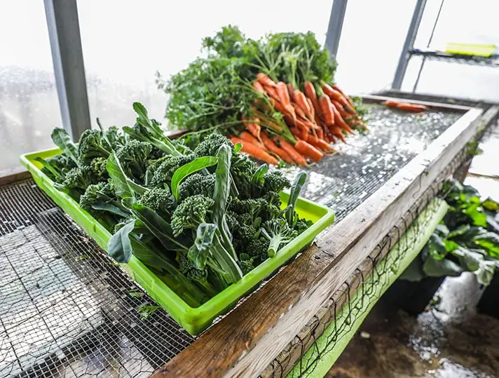 produce tray with carrots